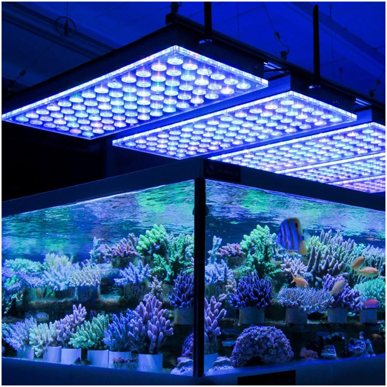 aquarium reef light