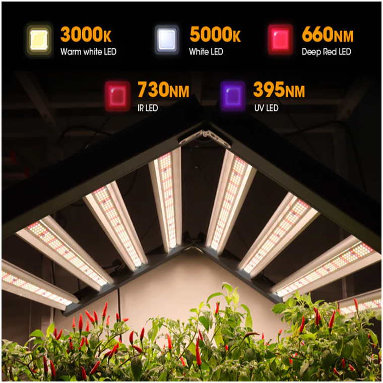 led grow light